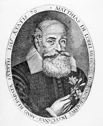 Matias de l&39;Obel